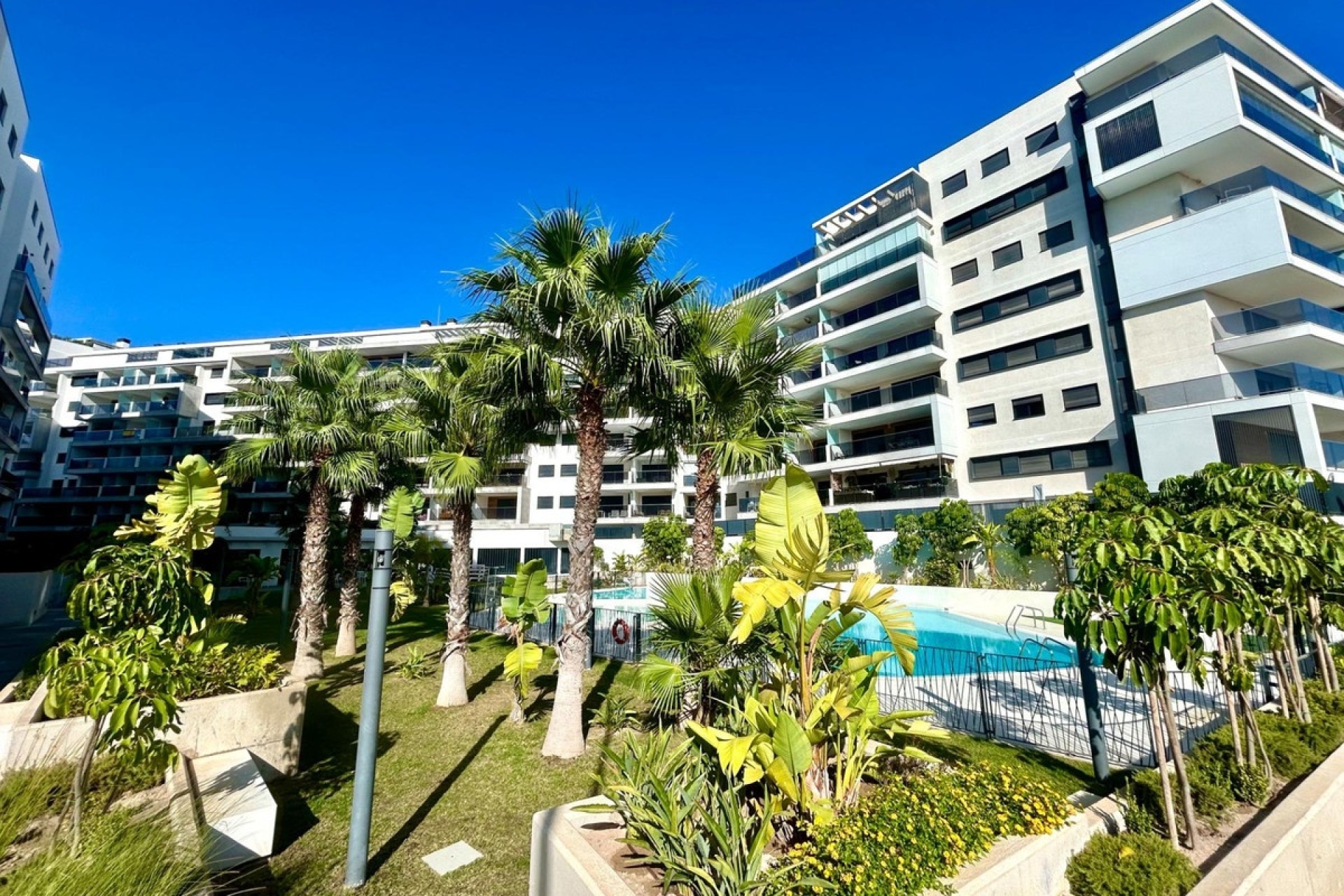 Rynek wtórny - apartment - Orihuela - Campoamor