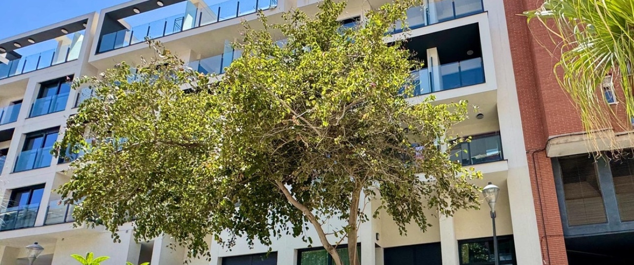 Rynek wtórny - apartment - Orihuela - La Florida