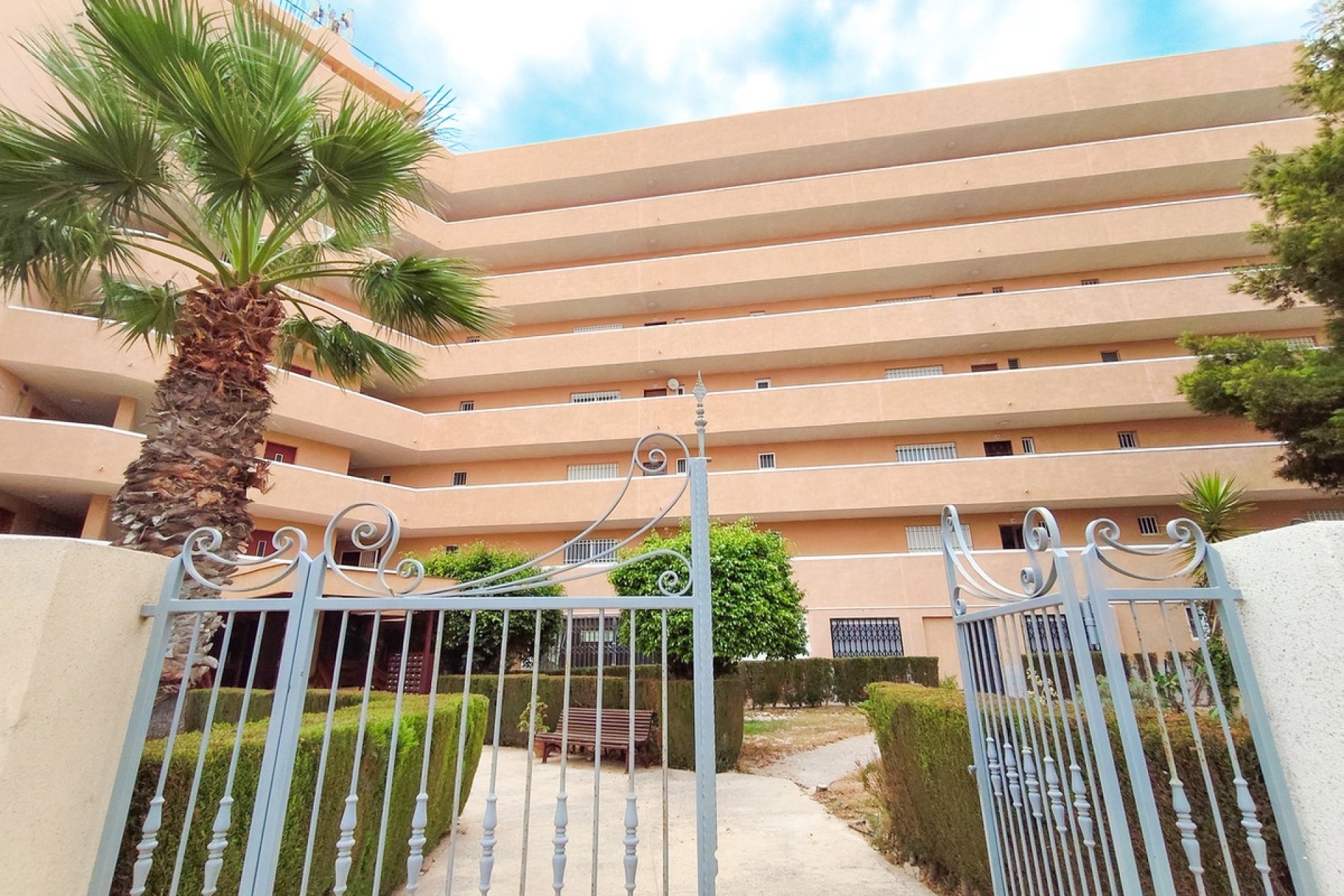 Rynek wtórny - apartment - Orihuela - La Zenia