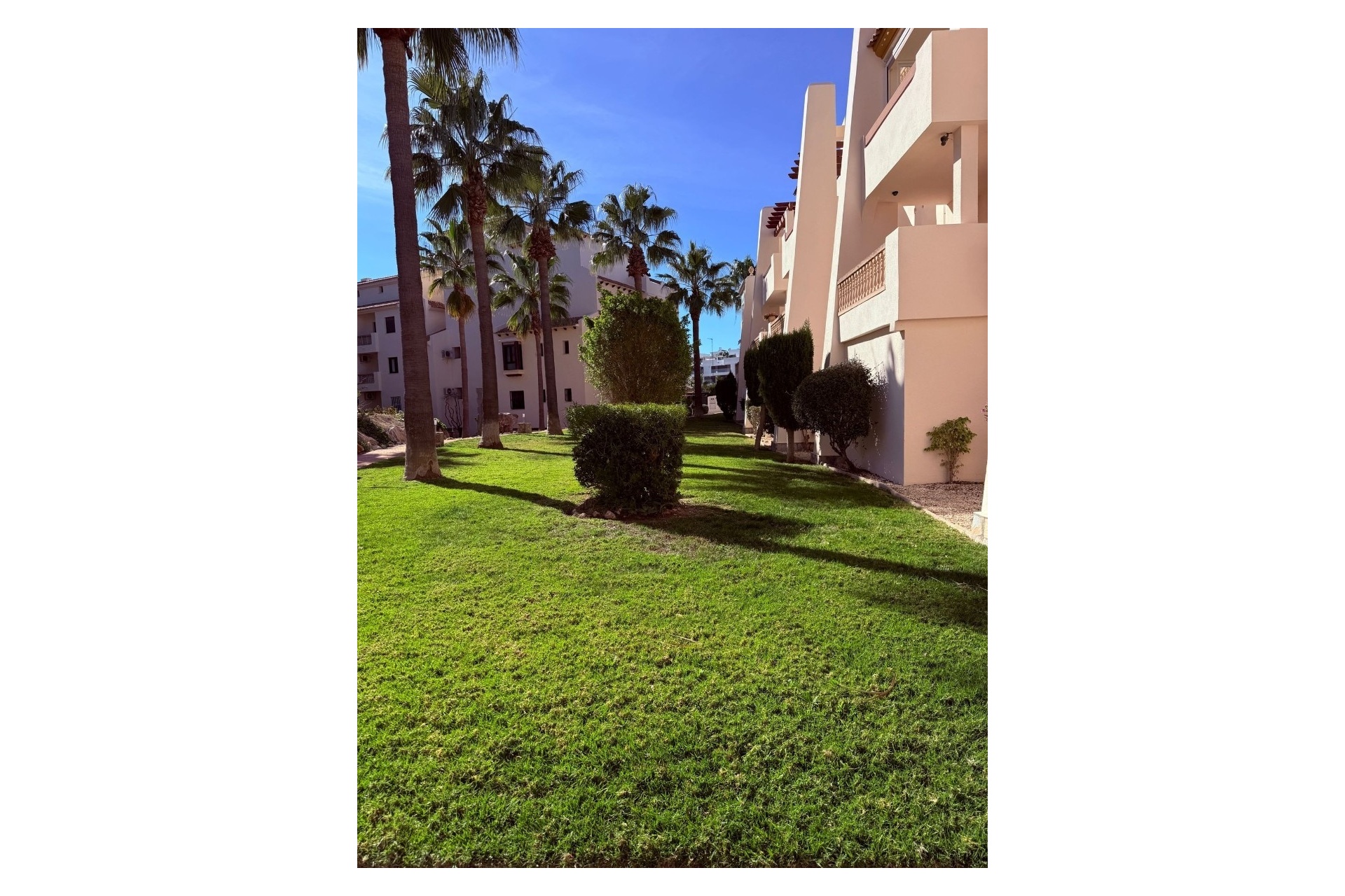 Rynek wtórny - apartment - Orihuela - Las Ramblas Golf