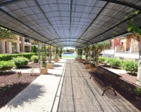 Rynek wtórny - apartment - Orihuela - Lomas de Cabo Roig