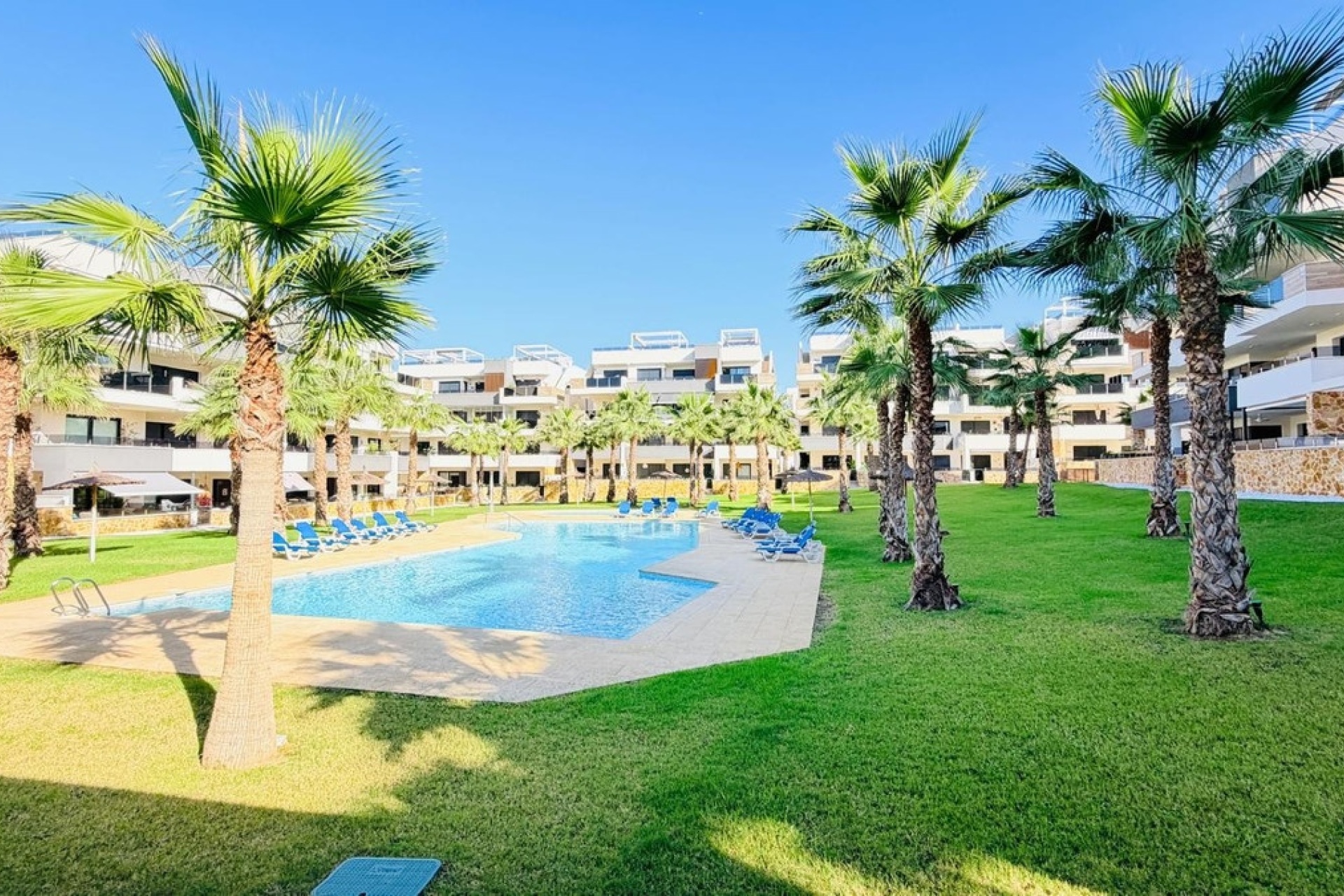 Rynek wtórny - apartment - Orihuela - Los Altos