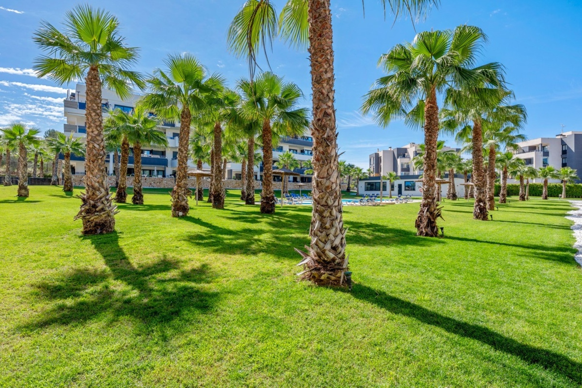 Rynek wtórny - apartment - Orihuela - Los Altos