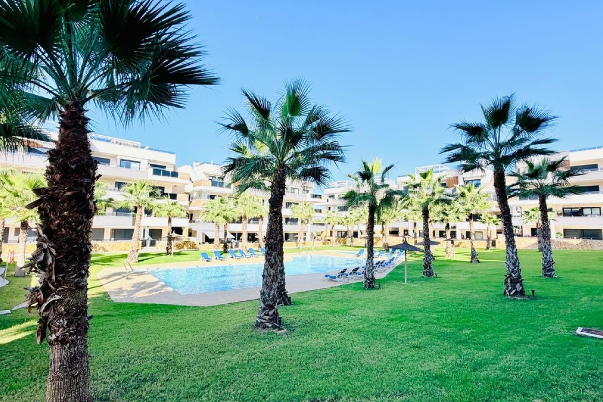 Rynek wtórny - apartment - Orihuela - Los Altos