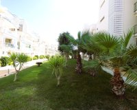 Rynek wtórny - apartment - Orihuela - Los Dolses