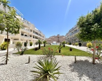 Rynek wtórny - apartment - Orihuela - Los Dolses