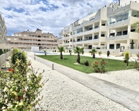 Rynek wtórny - apartment - Orihuela - Los Dolses