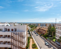 Rynek wtórny - apartment - Orihuela - Los Dolses