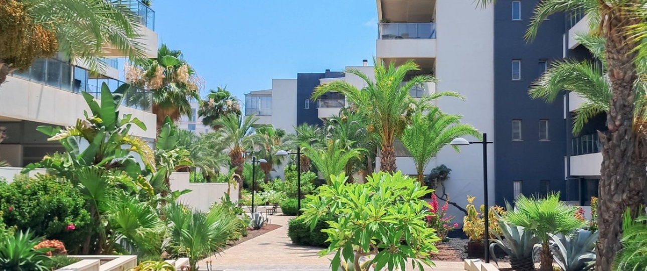 Rynek wtórny - apartment - Orihuela - Los Dolses