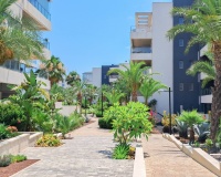 Rynek wtórny - apartment - Orihuela - Los Dolses