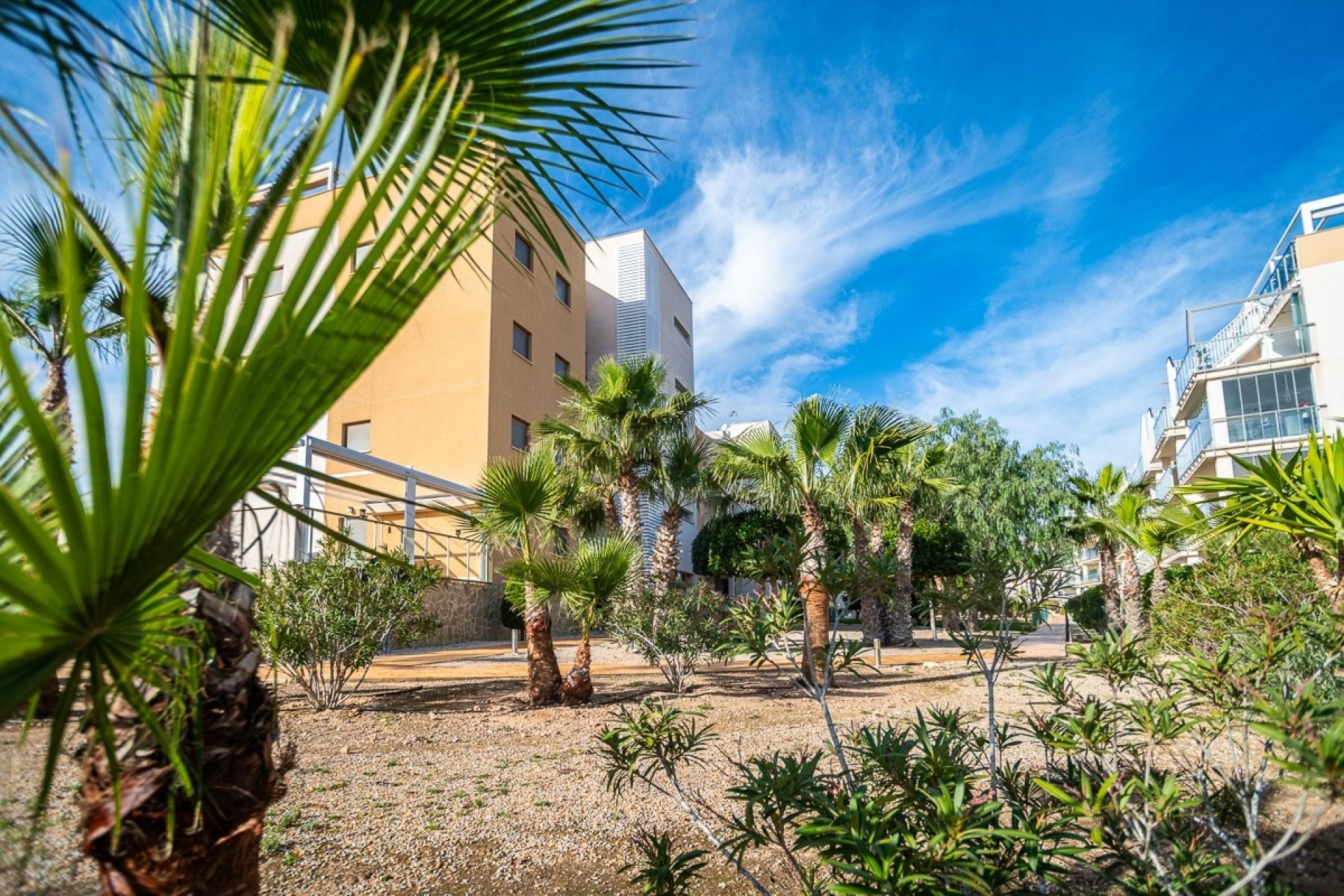 Rynek wtórny - apartment - Orihuela - Los Dolses