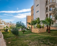 Rynek wtórny - apartment - Orihuela - Los Dolses