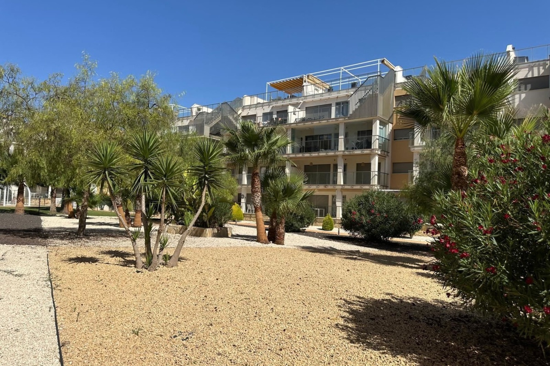 Rynek wtórny - apartment - Orihuela - Los Dolses