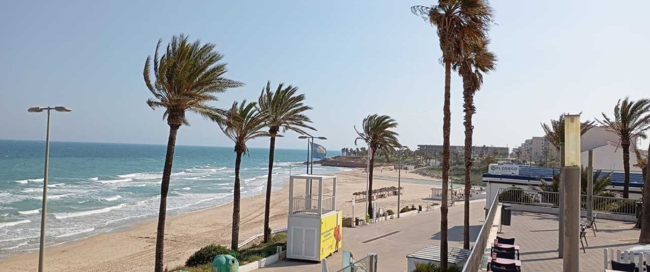 Rynek wtórny - apartment - Orihuela - Mil Palmeras