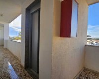 Rynek wtórny - apartment - Orihuela - Mil Palmeras