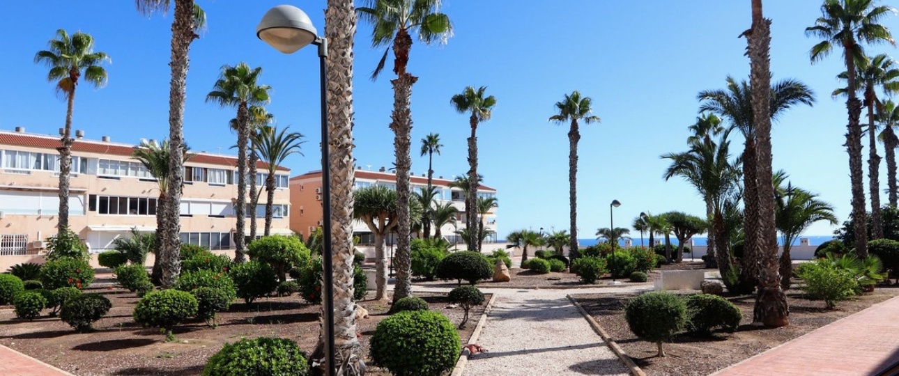 Rynek wtórny - apartment - Orihuela - Mil Palmeras