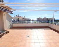 Rynek wtórny - apartment - Orihuela - Mil Palmeras