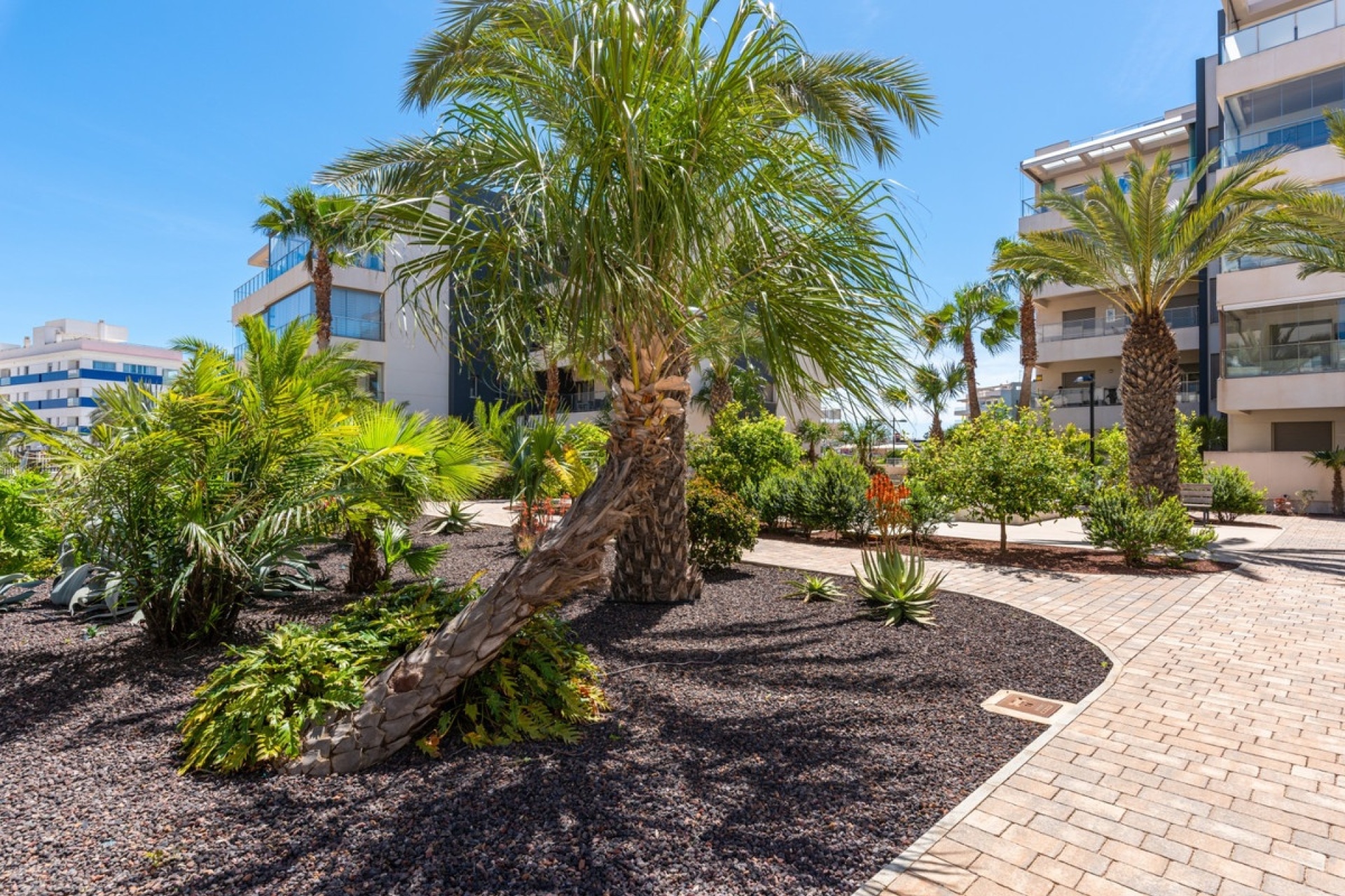 Rynek wtórny - apartment - Orihuela - Orihuela Costa