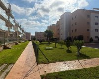 Rynek wtórny - apartment - Orihuela - Orihuela Costa