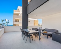 Rynek wtórny - apartment - Orihuela - Playa Flamenca