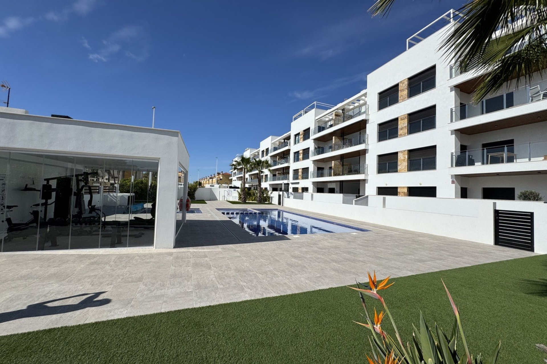 Rynek wtórny - apartment - Orihuela - Playa Flamenca