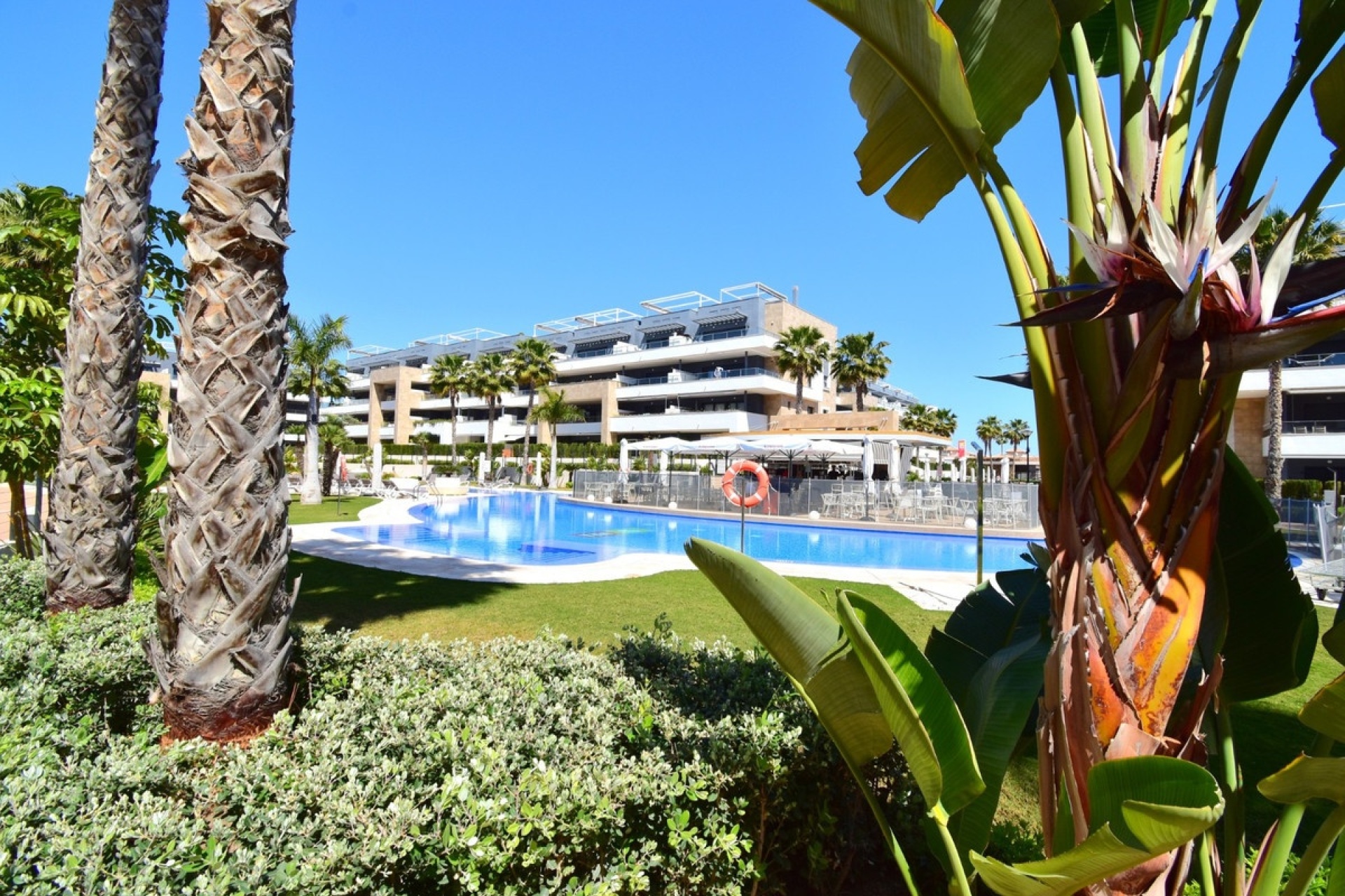 Rynek wtórny - apartment - Orihuela - Playa Flamenca