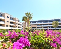 Rynek wtórny - apartment - Orihuela - Playa Flamenca