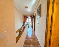 Rynek wtórny - apartment - Orihuela - Playa Flamenca