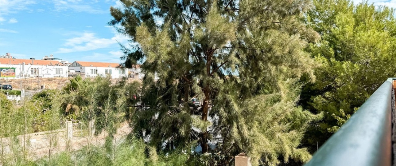 Rynek wtórny - apartment - Orihuela - Playa Flamenca