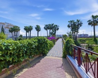 Rynek wtórny - apartment - Orihuela - Playa Flamenca