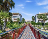 Rynek wtórny - apartment - Orihuela - Playa Flamenca