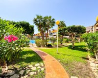Rynek wtórny - apartment - Orihuela - Playa Flamenca
