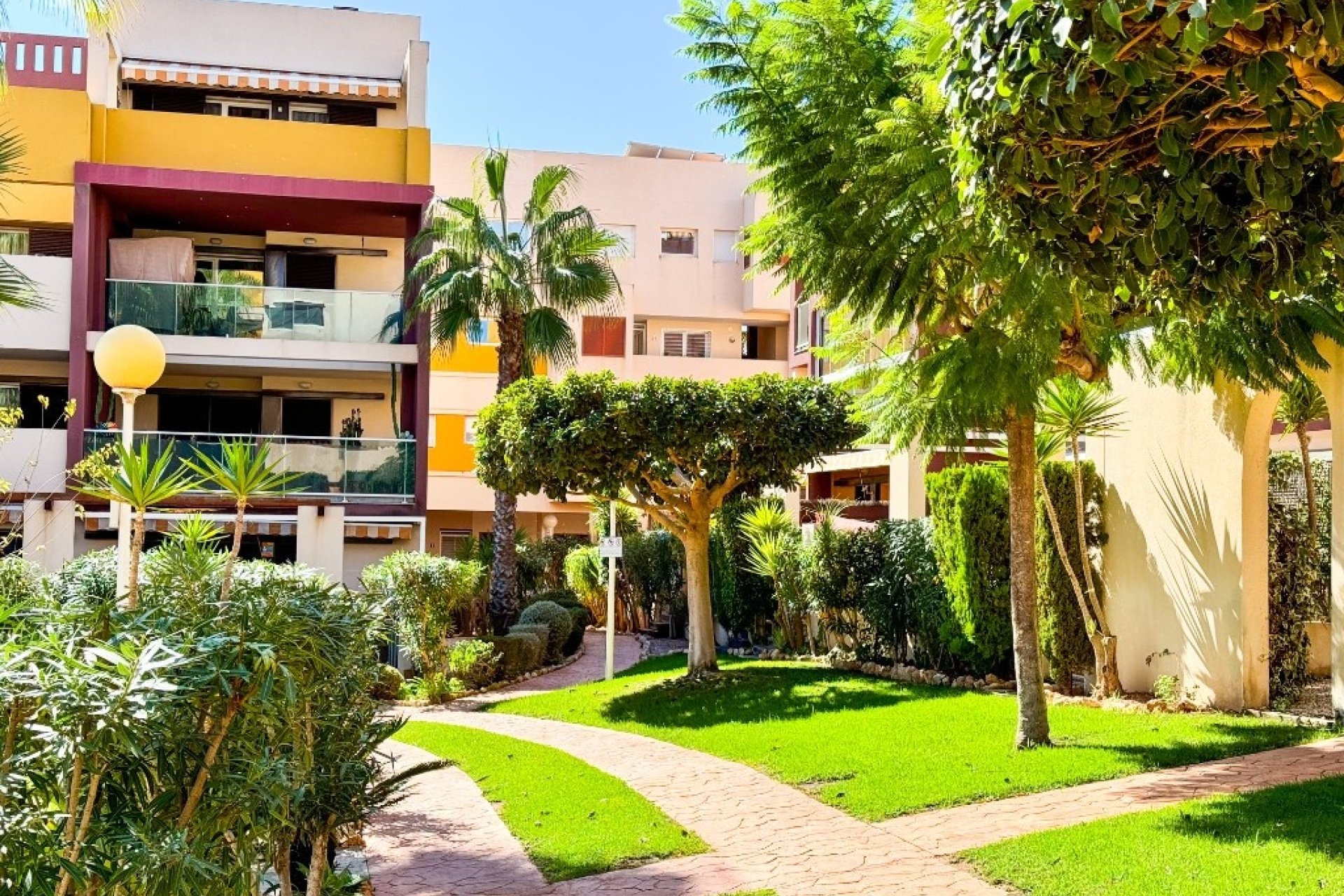 Rynek wtórny - apartment - Orihuela - Playa Flamenca