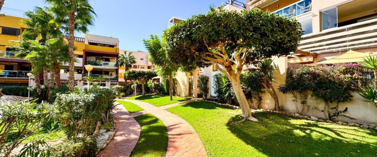 Rynek wtórny - apartment - Orihuela - Playa Flamenca