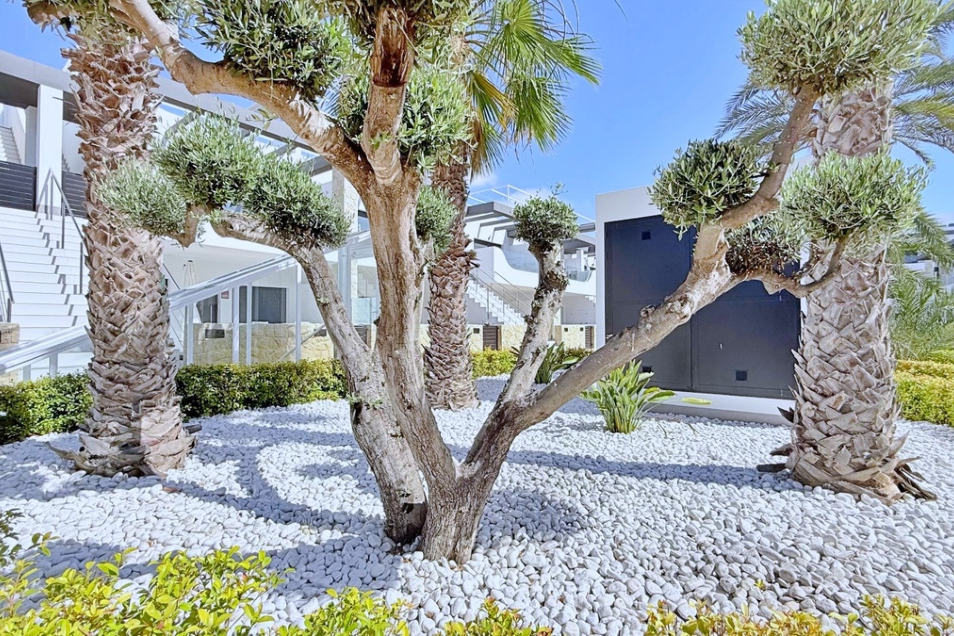 Rynek wtórny - apartment - Orihuela - Punta Prima