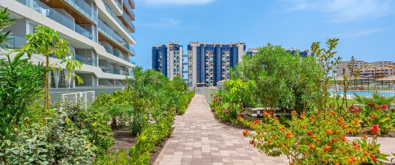 Rynek wtórny - apartment - Orihuela - Punta Prima