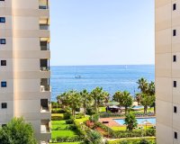 Rynek wtórny - apartment - Orihuela - Punta Prima