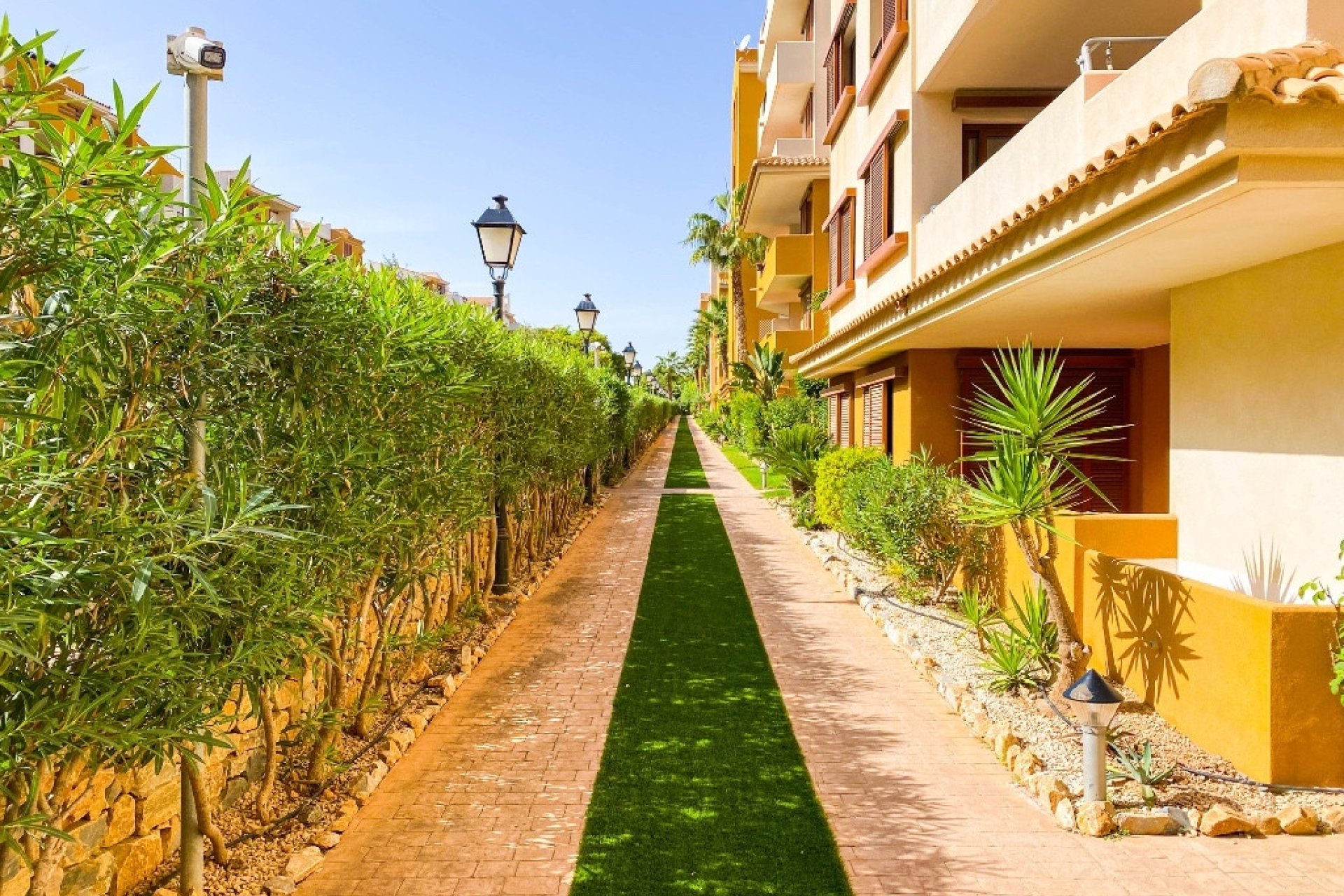 Rynek wtórny - apartment - Orihuela - Punta Prima