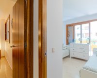 Rynek wtórny - apartment - Orihuela - Punta Prima