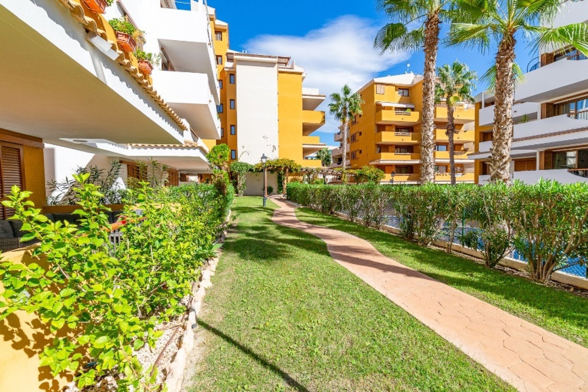 Rynek wtórny - apartment - Orihuela - Punta Prima
