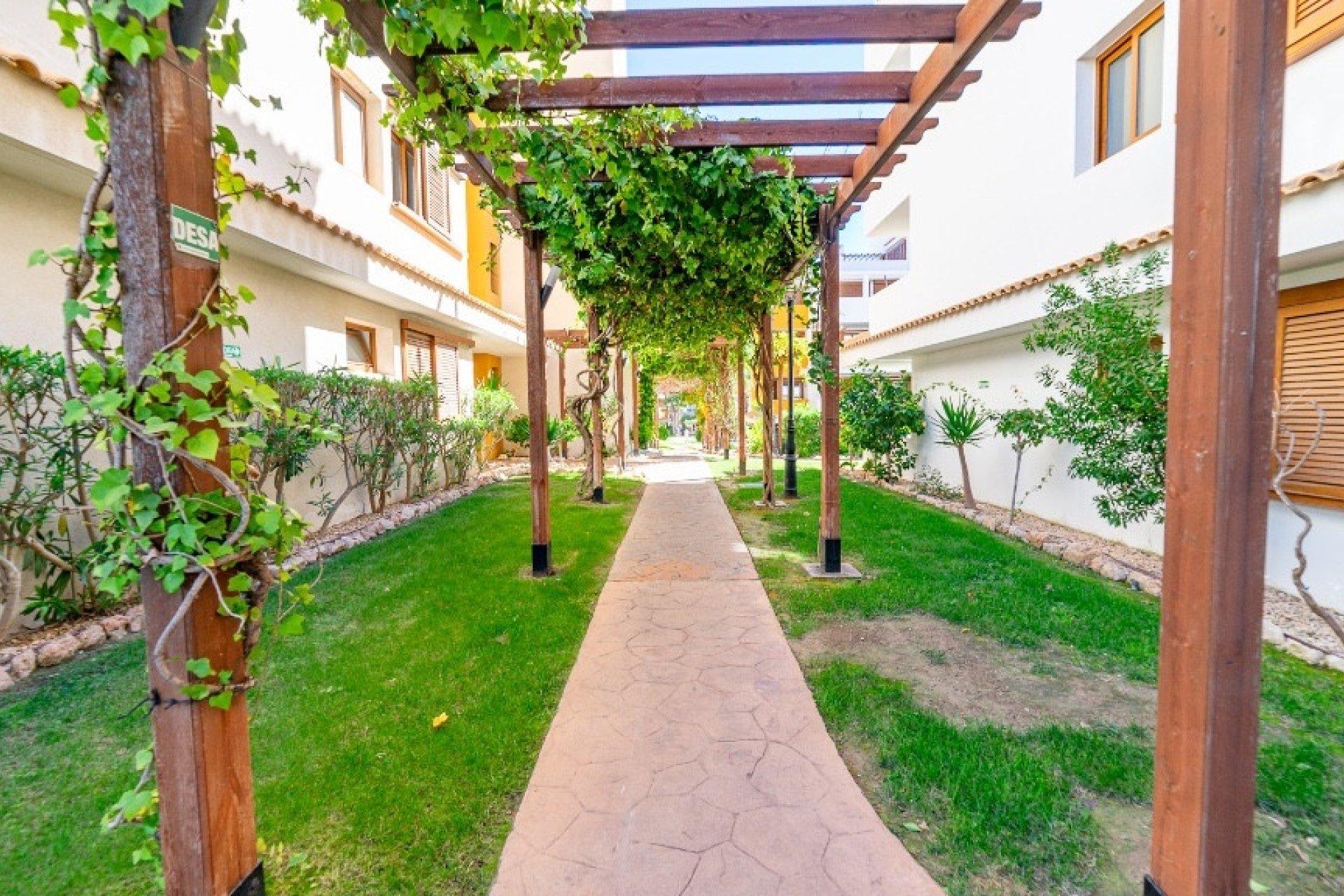 Rynek wtórny - apartment - Orihuela - Punta Prima