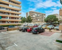 Rynek wtórny - apartment - Orihuela - Punta Prima