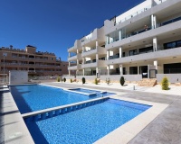 Rynek wtórny - apartment - Orihuela - Villamartin