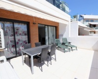 Rynek wtórny - apartment - Orihuela - Villamartin