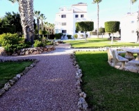 Rynek wtórny - apartment - Orihuela - Villamartin