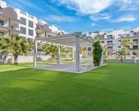 Rynek wtórny - apartment - Orihuela - Villamartin