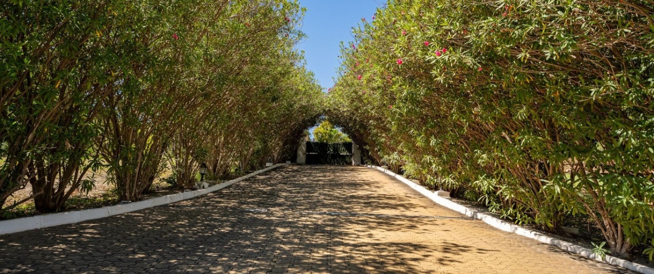 Rynek wtórny - Country house - Estepona - Cancelada