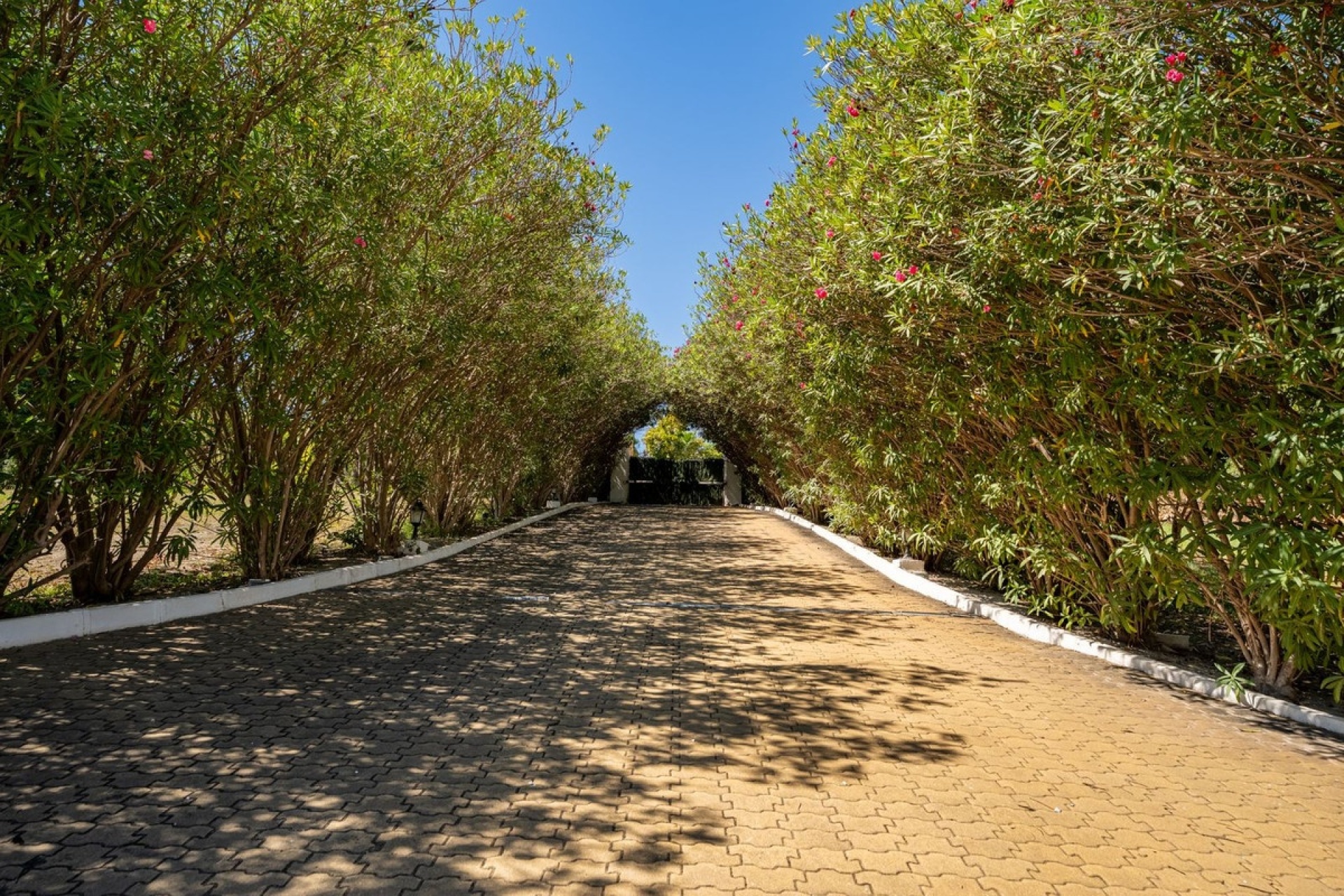 Rynek wtórny - Country house - Estepona - Cancelada