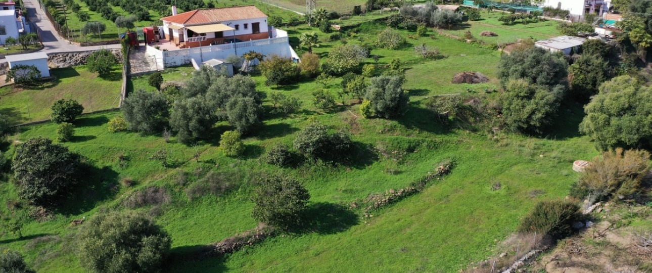 Rynek wtórny - Country house - Estepona - El Padron
