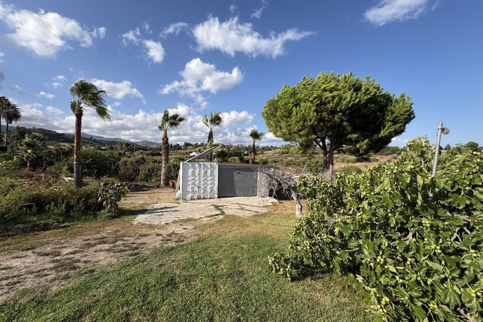 Rynek wtórny - Country house - Estepona - El Padron
